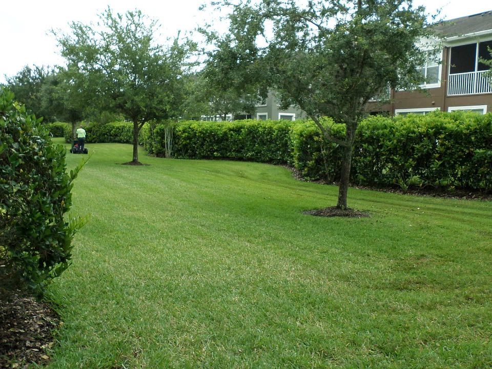2nd image of 2213 Kings Palace Dr