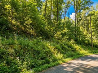 Par 87.03 Overview Way, Newport, TN 37821