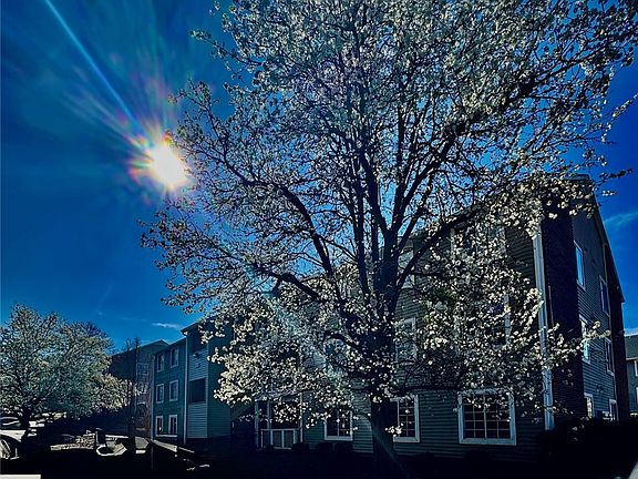 2nd image of 220 Elm St APT 334