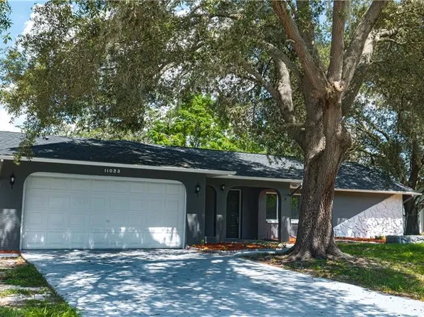 11053 MAYFLOWER ROAD, SPRING HILL, FL 34608