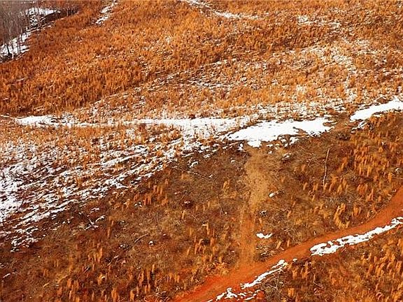 2nd image of LOT 10 Skeens Mill Rd