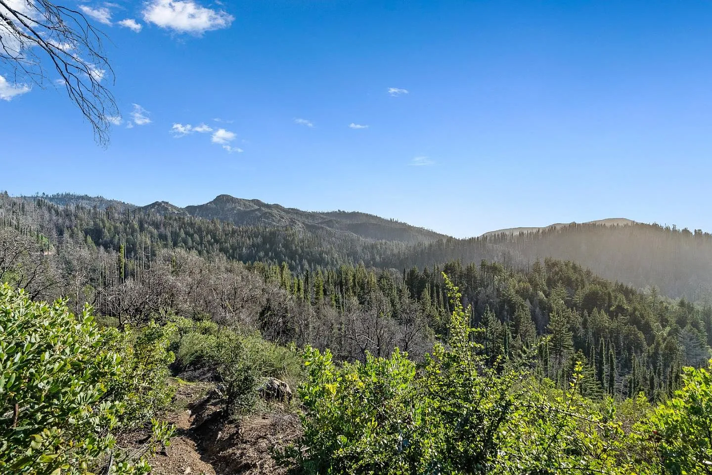 21200 Big Basin Way photo 1