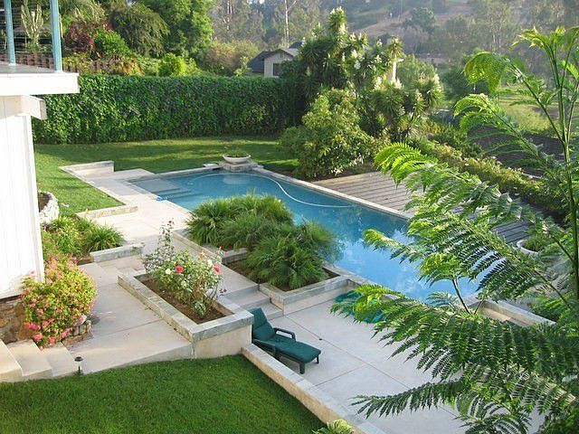 Backyard with lap pool