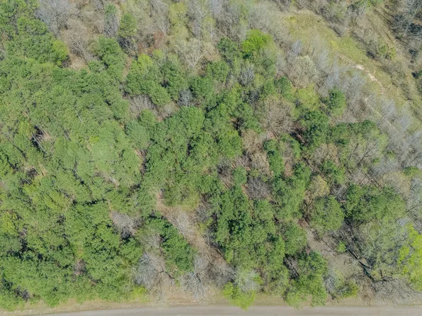 956 Fairway Dr, Saulsbury, TN 38067