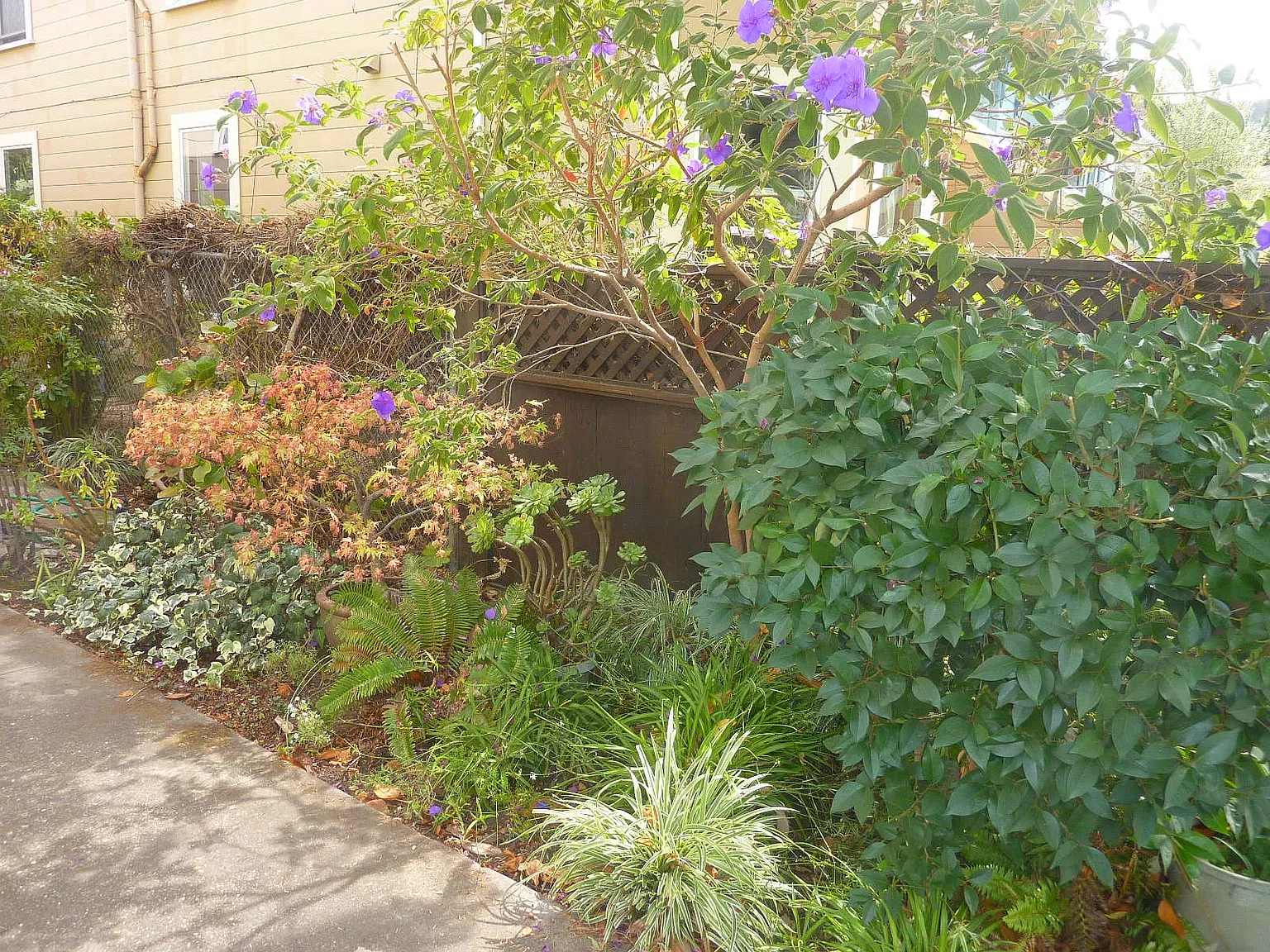1 bed, 650 sqft, $2,850 — Photo 3