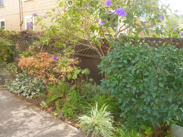 5568 Fremont St #2, Emeryville, CA 94608