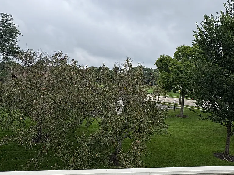 1056 Deerpath Ct — Photo 4
