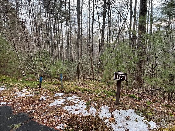 2nd image of 117 Huckleberry Ridge Ln
