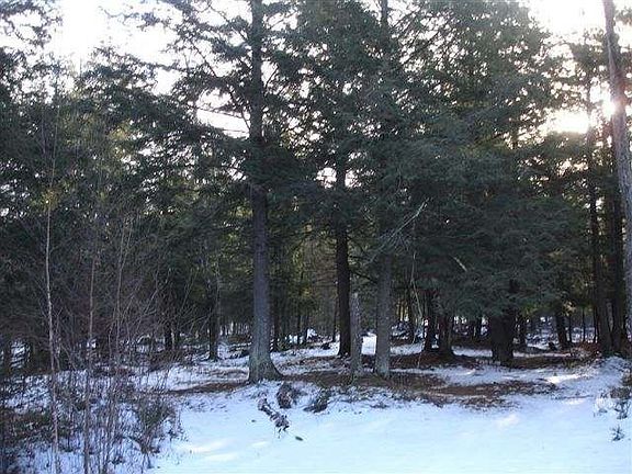 2nd image of N6990 White Birch Ln