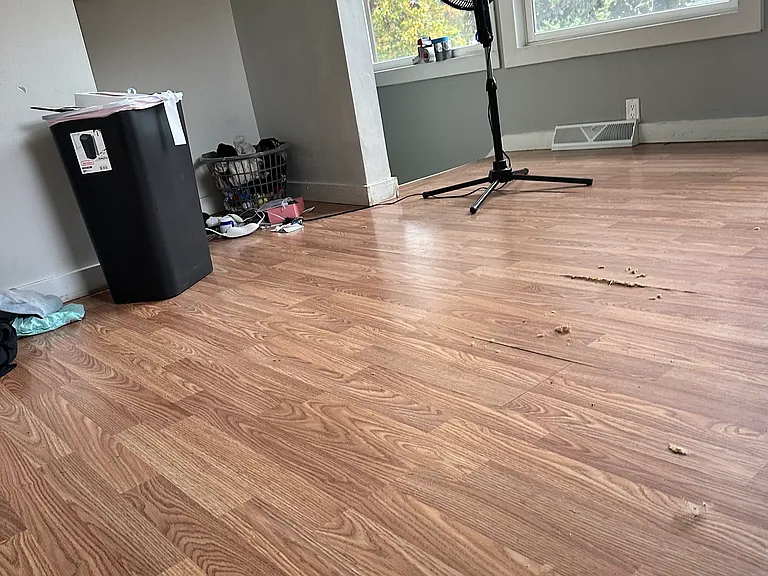 11765 Myers Lake Ave NE — Photo 10