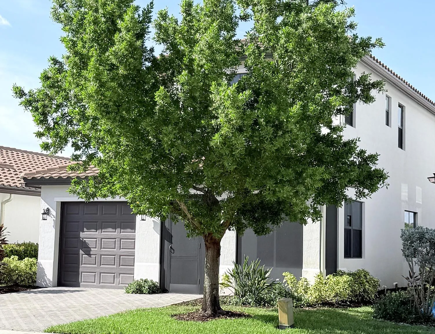 4 bed, 3.5 bath, 2087 sqft, $3,000 — Photo 2