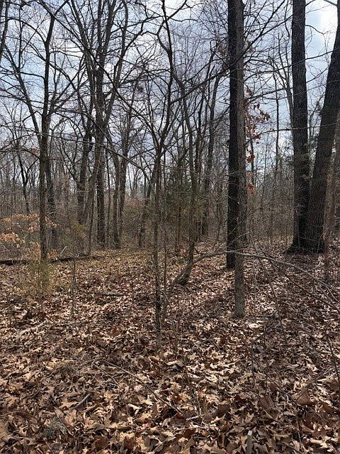 1st image of Bankfoot Ln #8