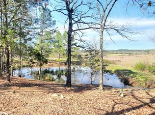 820 Blowout Mountain Rd, Pencil Bluff, AR 71965