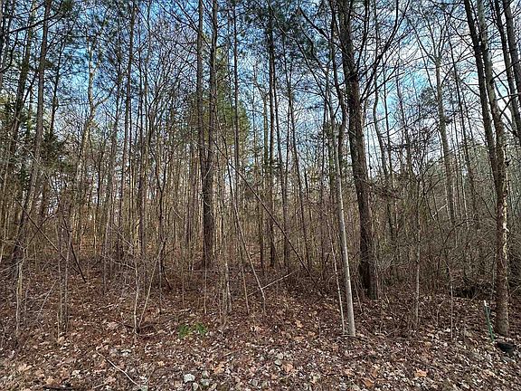 4th image of Dell Arbor Cir