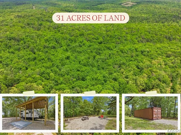 12949 Delbridge Rd, Potosi, MO 63664