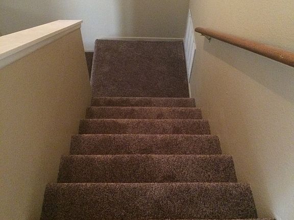 New Carpet