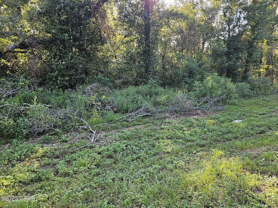 2nd image of 0 Fanning Branch Rd