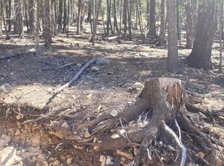 5 Forest View Rd, Cloudcroft, NM 88317