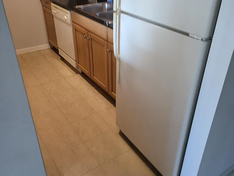 400 N Lasalle St #2803 — Photo 8