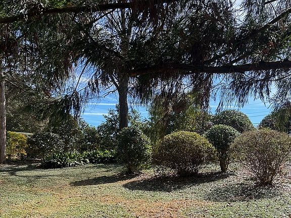 5th image of 101 Laurel Ln