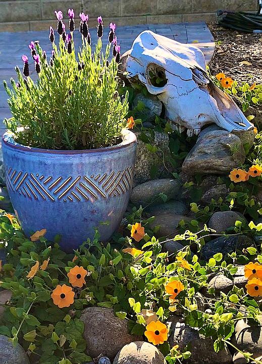 A great place to garden!