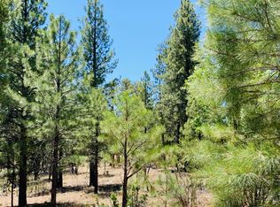 5117 Starlight Dr, Happy Jack, AZ 86024