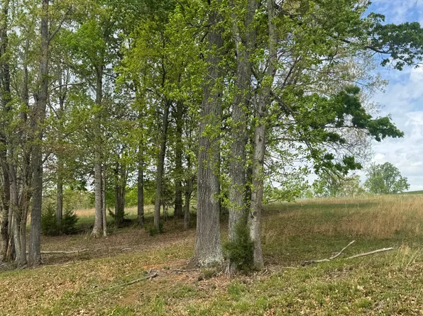 LOT 28 Farm Dr, Moneta, VA 24121