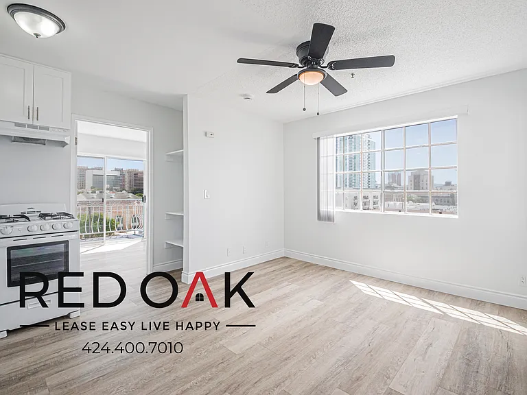 518 E 4th St #206 — Photo 4
