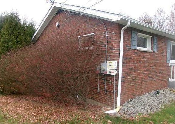 3rd image of 2515 Willowhurst Cir