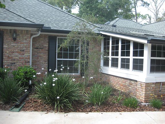 flowering plants outside dining room and sunroom, bring all day sunshine in