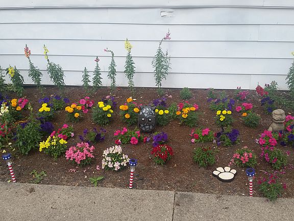 Front Flower Bed