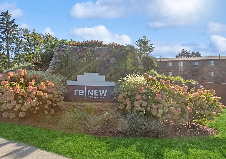 ReNew Westmont — Photo 25