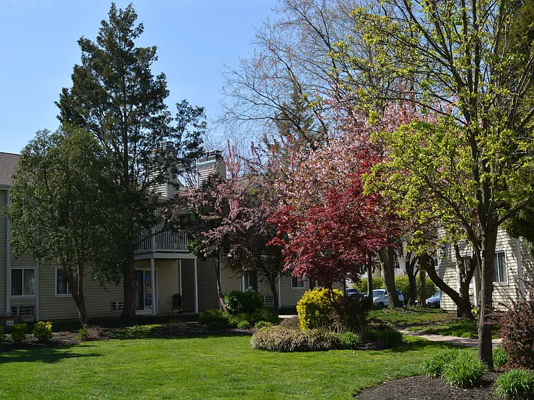 The Village At Voorhees — Photo 36