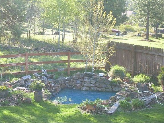Pond in backyard