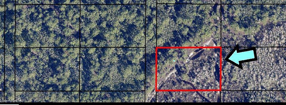 2nd image of None Unknown