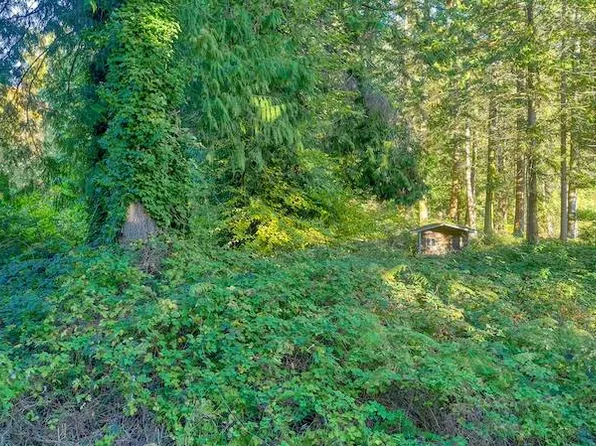 0.44 Acres Mill Rd, Pt Roberts, WA 98281