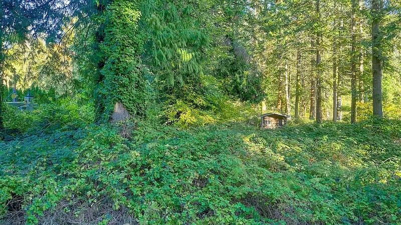 0.44 Acres Mill Rd photo 1