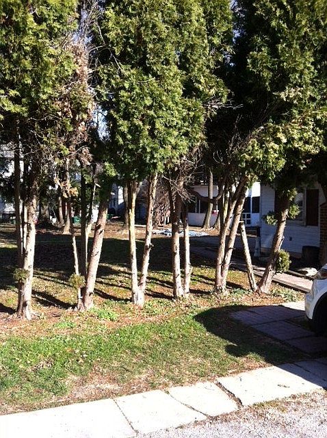 photo 2_02072013
