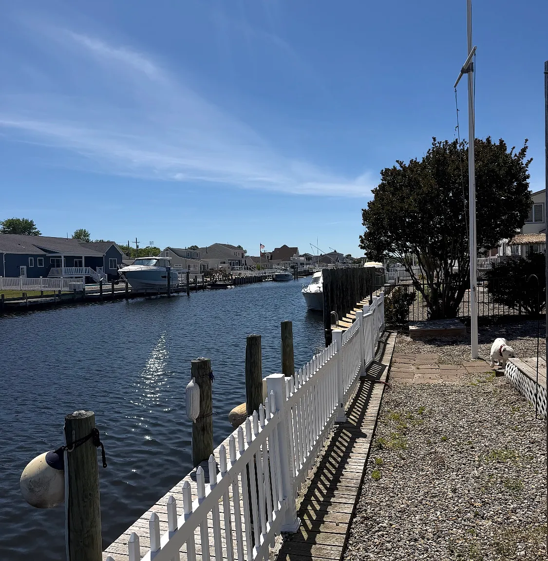 3 bed, 1.5 bath, 1483 sqft, $3,250 — Photo 1