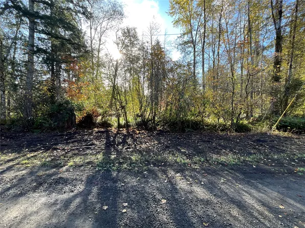 1 XX W Hamma Hamma Drive, Elma, WA 98541