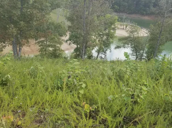 Stone Harbor Dr, Dandridge, TN 37725