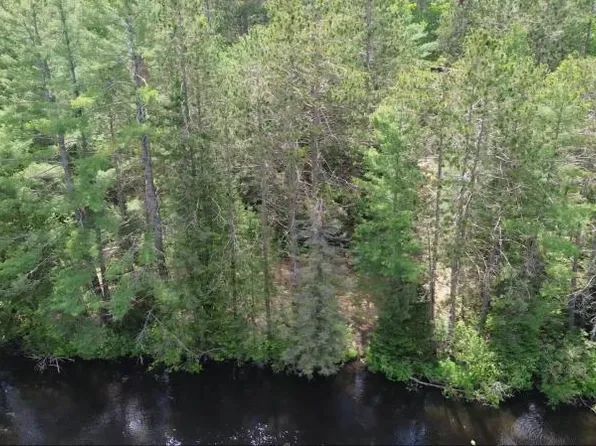 Derosa Dr, Onaway, MI 49765
