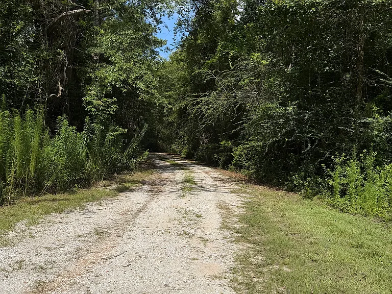 23464 Old Highway 49 — Photo 17