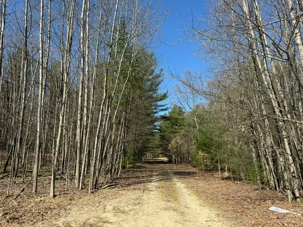 Wayne Ave, Pentwater, MI 49449