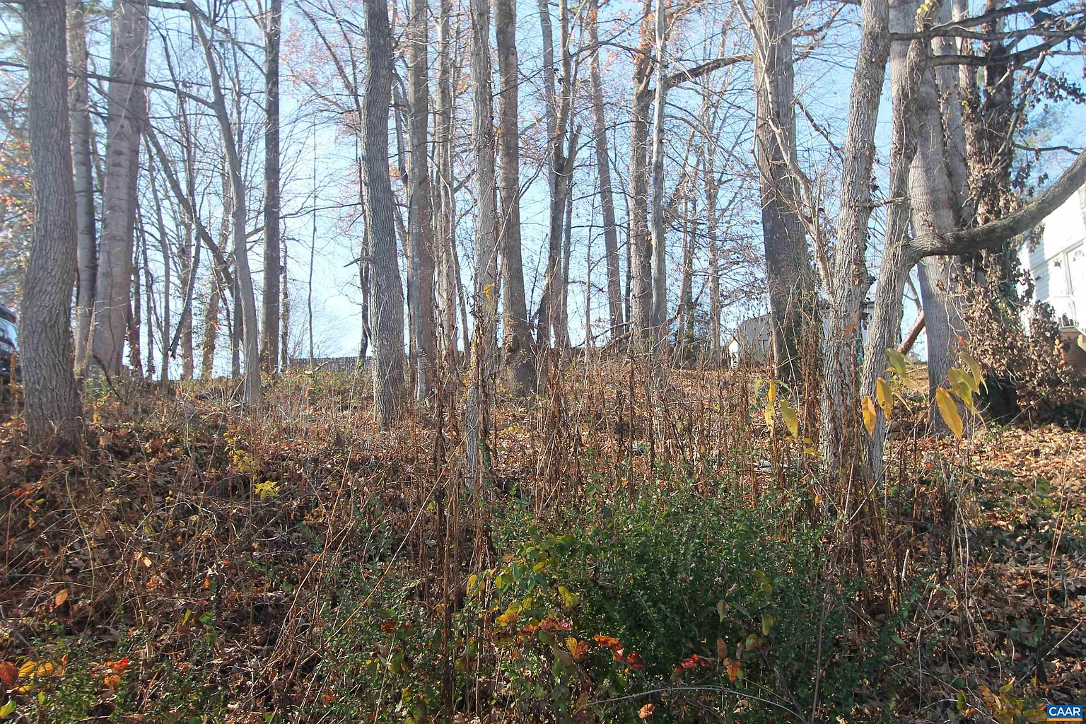 Tbd3 Camelot Dr photo 1