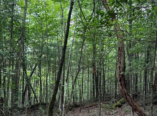 4572 Raven Branch Rd, Del Rio, TN 37727