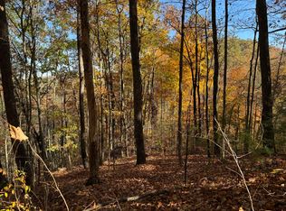 0 Black Walnut Flats Rd, Sevierville, TN 37862