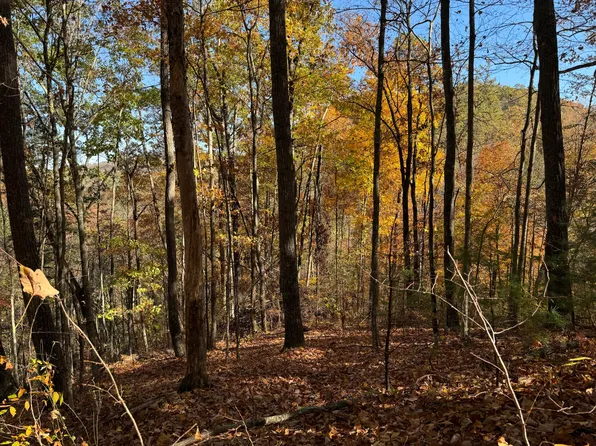 0 Black Walnut Flats Rd, Sevierville, TN 37862