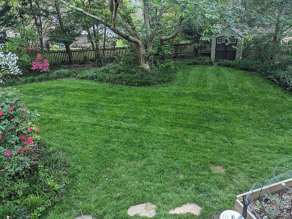 Private back yard