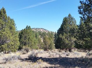 46 Three Mile Canyon Rd, Termo, CA 96132